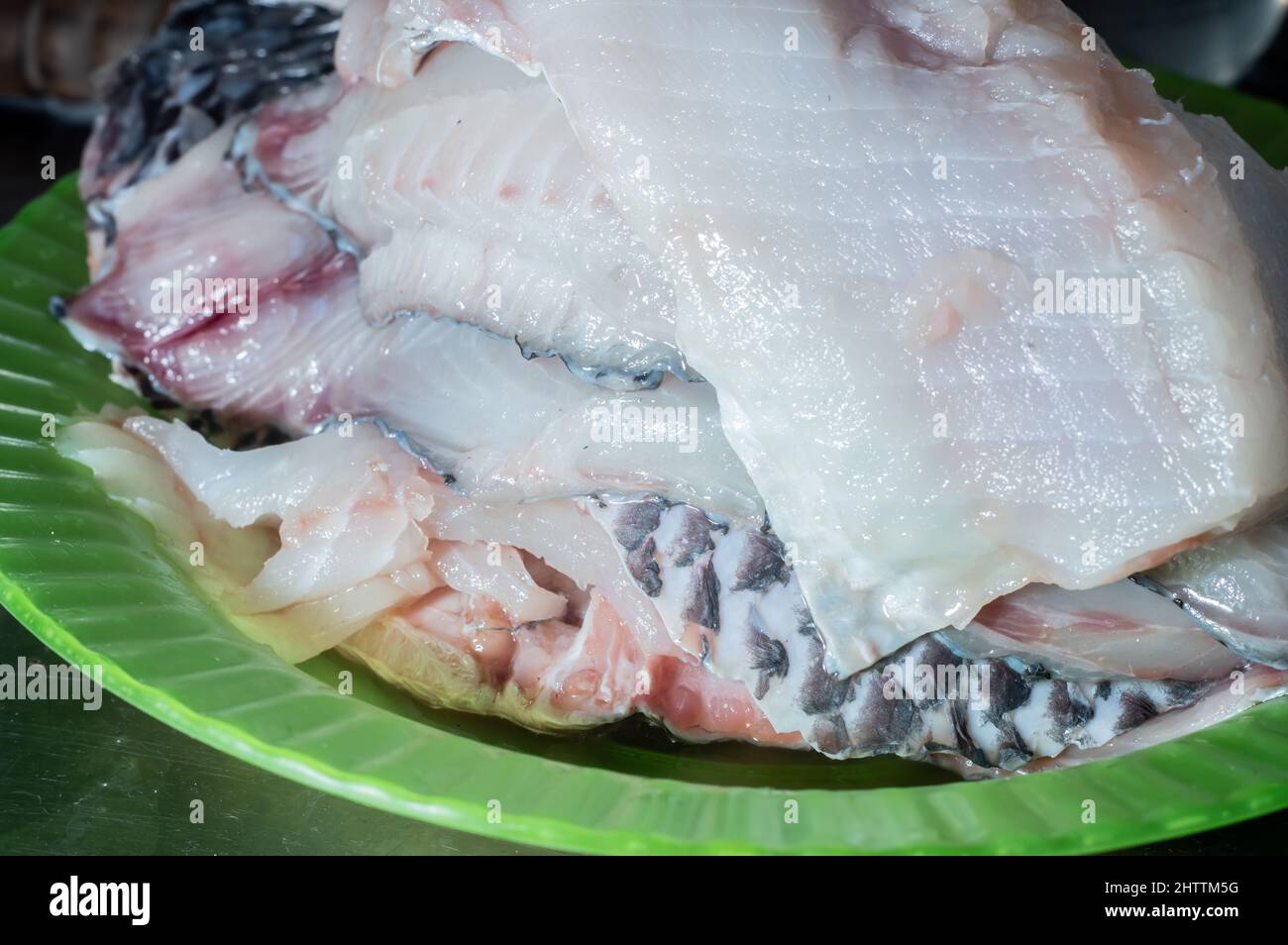 Raw tilapia fish fillet for cooking in a simple dish of domestic and
