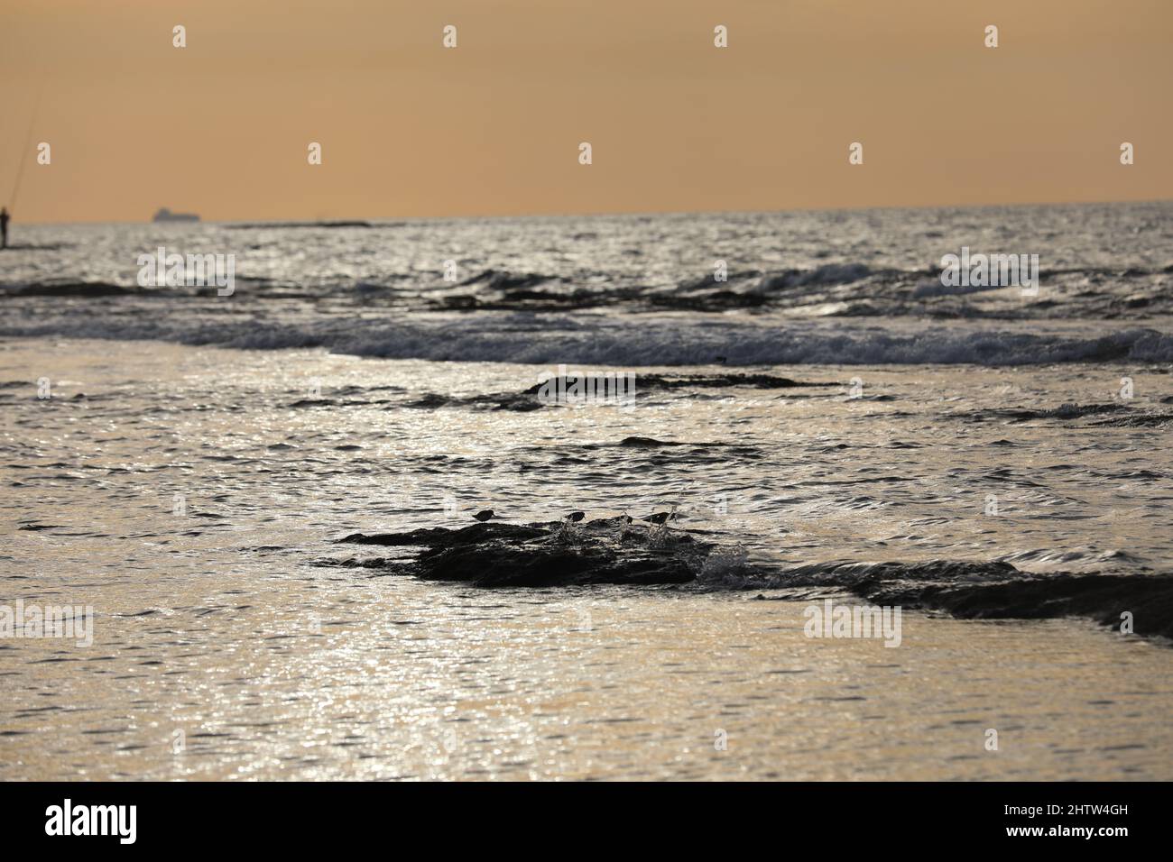 Sea landscape. Surfline with waves and foam at sunset time. Nature background Stock Photo