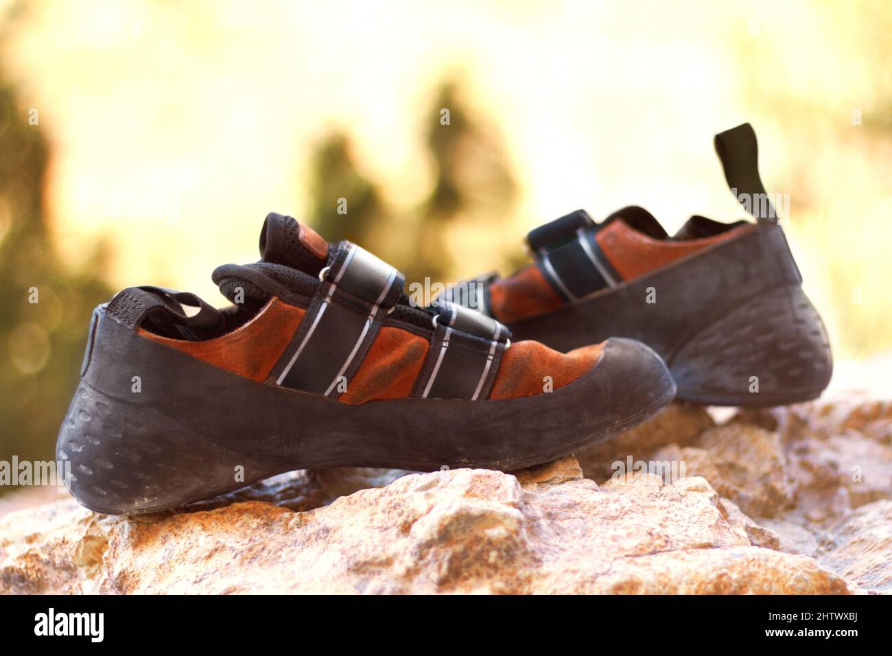 The perfect pair of climbing shoes. Climbing shoes lying on a rock outdoors. Stock Photo