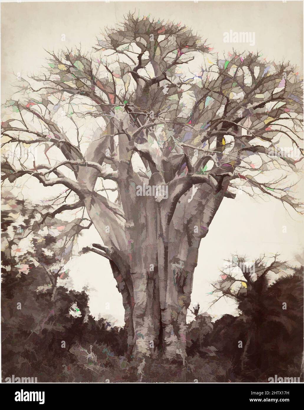 Art inspired by Baobab à Mohéli, 1863, Albumen silver print from glass negative, Image: 28.7 x 22.8 cm (11 5/16 x 9 in.), Photographs, Désiré Charnay (French, 1828–1915, Classic works modernized by Artotop with a splash of modernity. Shapes, color and value, eye-catching visual impact on art. Emotions through freedom of artworks in a contemporary way. A timeless message pursuing a wildly creative new direction. Artists turning to the digital medium and creating the Artotop NFT Stock Photo
