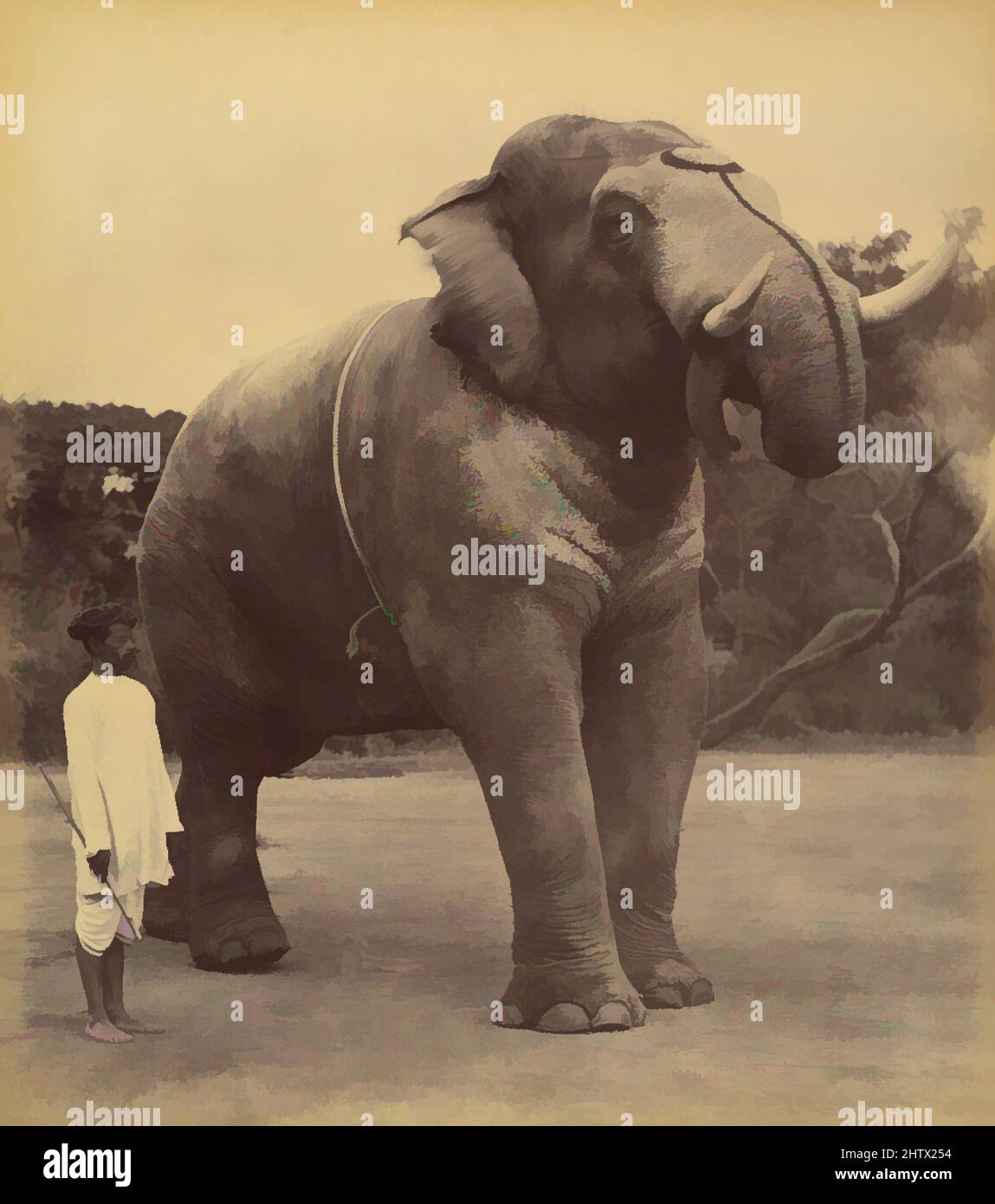 Art inspired by The Great Elephant, 1885–1900, Albumen silver print from glass negative, Image: 24.1 x 21.2 cm (9 1/2 x 8 3/8 in.), Photographs, Lala Deen Dayal (Indian, Sardhana 1844–1905, Classic works modernized by Artotop with a splash of modernity. Shapes, color and value, eye-catching visual impact on art. Emotions through freedom of artworks in a contemporary way. A timeless message pursuing a wildly creative new direction. Artists turning to the digital medium and creating the Artotop NFT Stock Photo