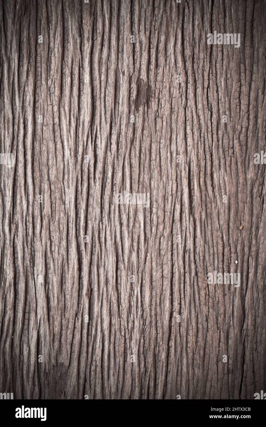 Texture of old bark wood use for natural background Stock Photo - Alamy