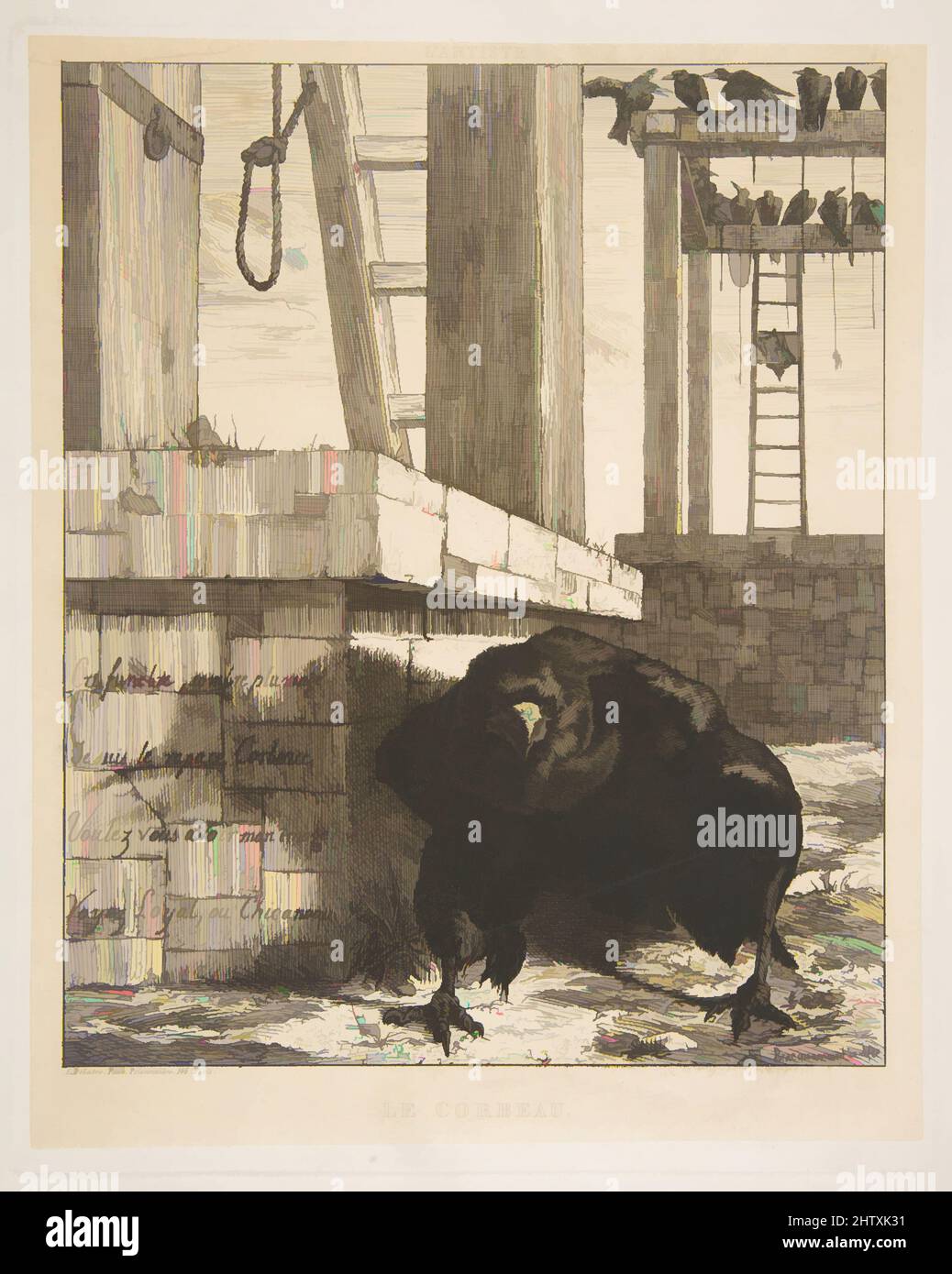 Raven felix hi-res stock photography and images - Alamy