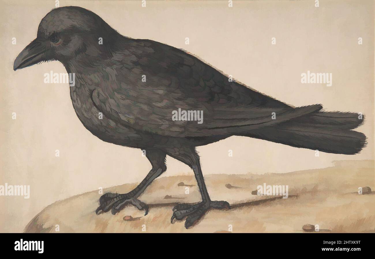 Art inspired by A Crow, Watercolor with body color on paper, sheet: 6 1/2 x  10 1/4 in. (16.5 x 26.1 cm), Drawings, Anonymous, Italian, 17th century,  Classic works modernized by Artotop