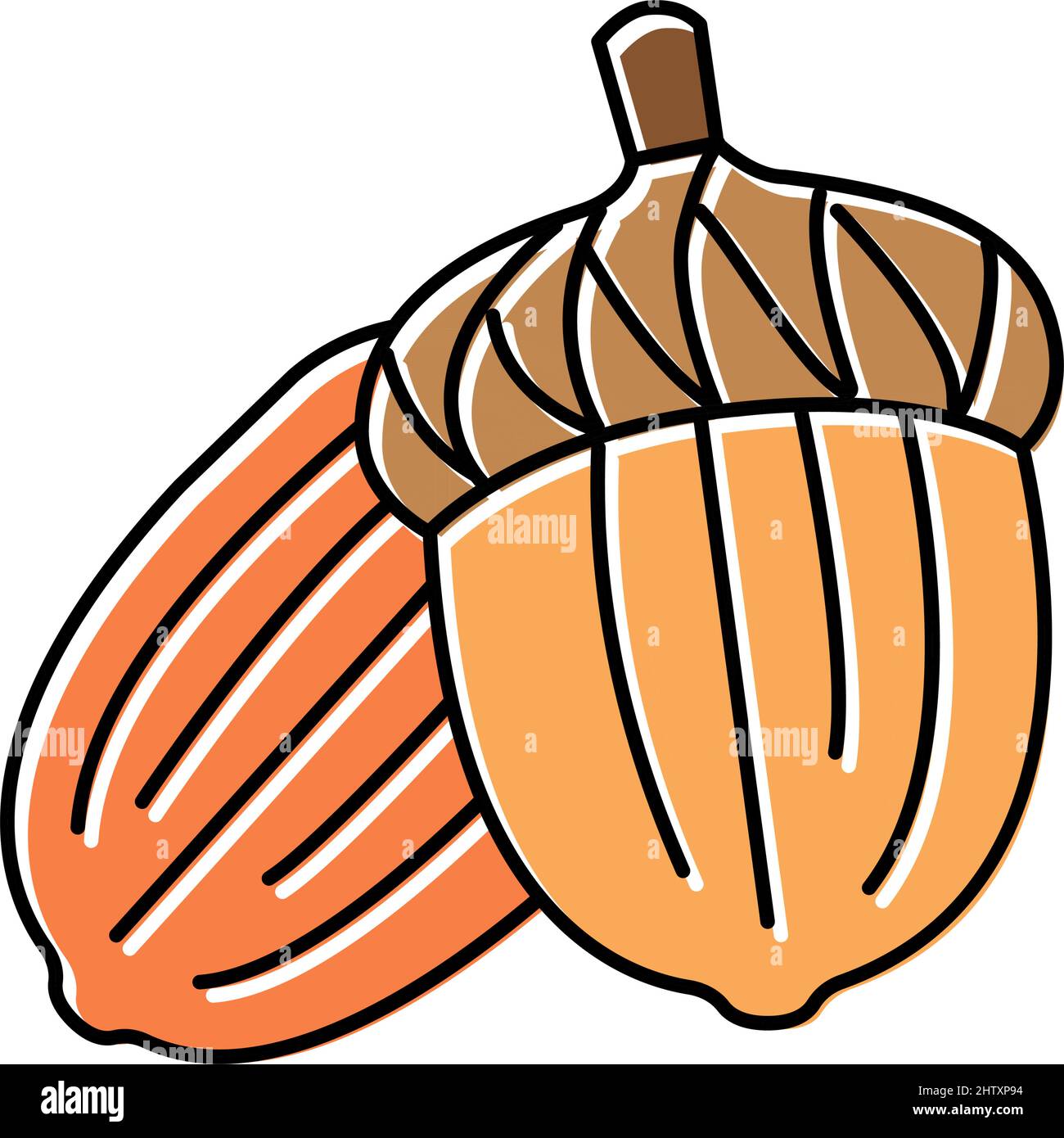 acorn nut color icon vector illustration Stock Vector Image & Art Alamy