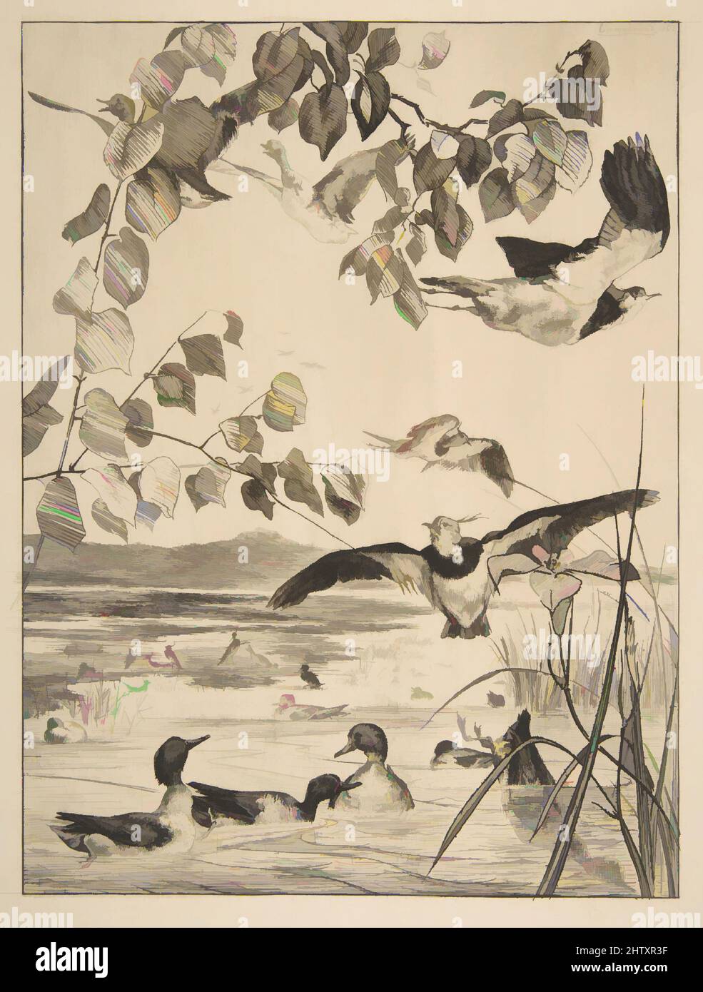 Art inspired by Lapwings and Teals, 1862, Etching, Prints, Félix Bracquemond (French, Paris 1833–1914 Sèvres, Classic works modernized by Artotop with a splash of modernity. Shapes, color and value, eye-catching visual impact on art. Emotions through freedom of artworks in a contemporary way. A timeless message pursuing a wildly creative new direction. Artists turning to the digital medium and creating the Artotop NFT Stock Photo