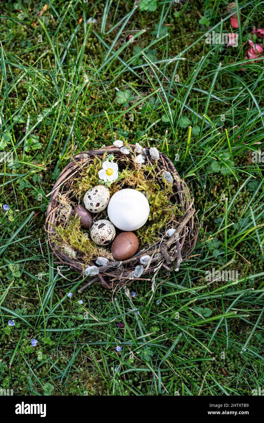 Easter, Easter nest in the grass Stock Photo