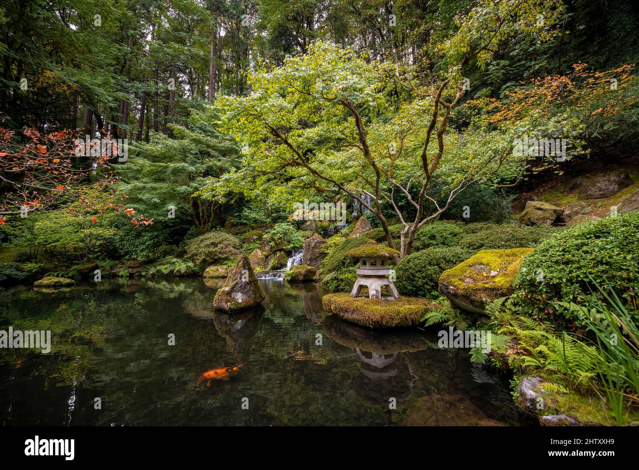 Pond in Japan stock photo. Image of deep, nature, japan - 182546932