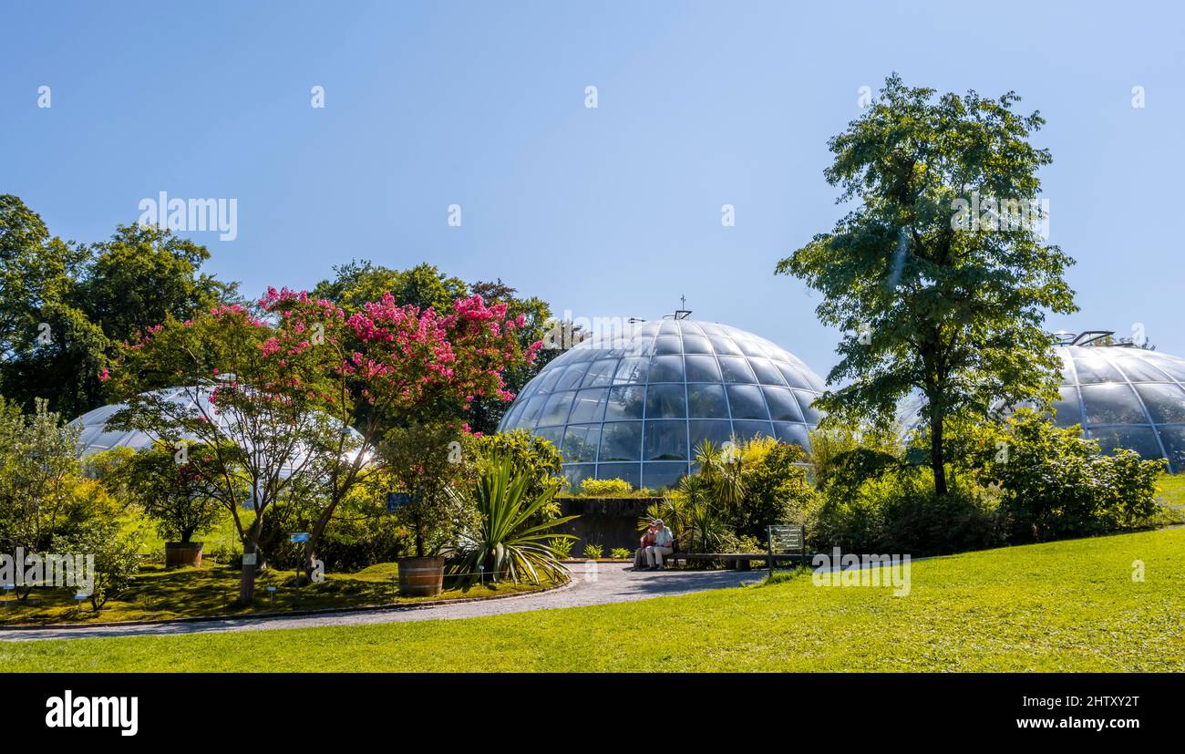 Botanical Garden, domes of the greenhouses at the back, Zurich, Switzerland Stock Photo