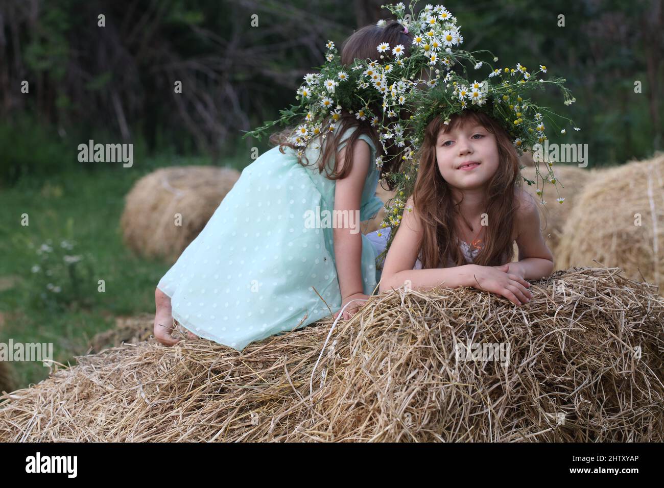 Two little girls playing in a wheat field Stock Photo - Alamy
