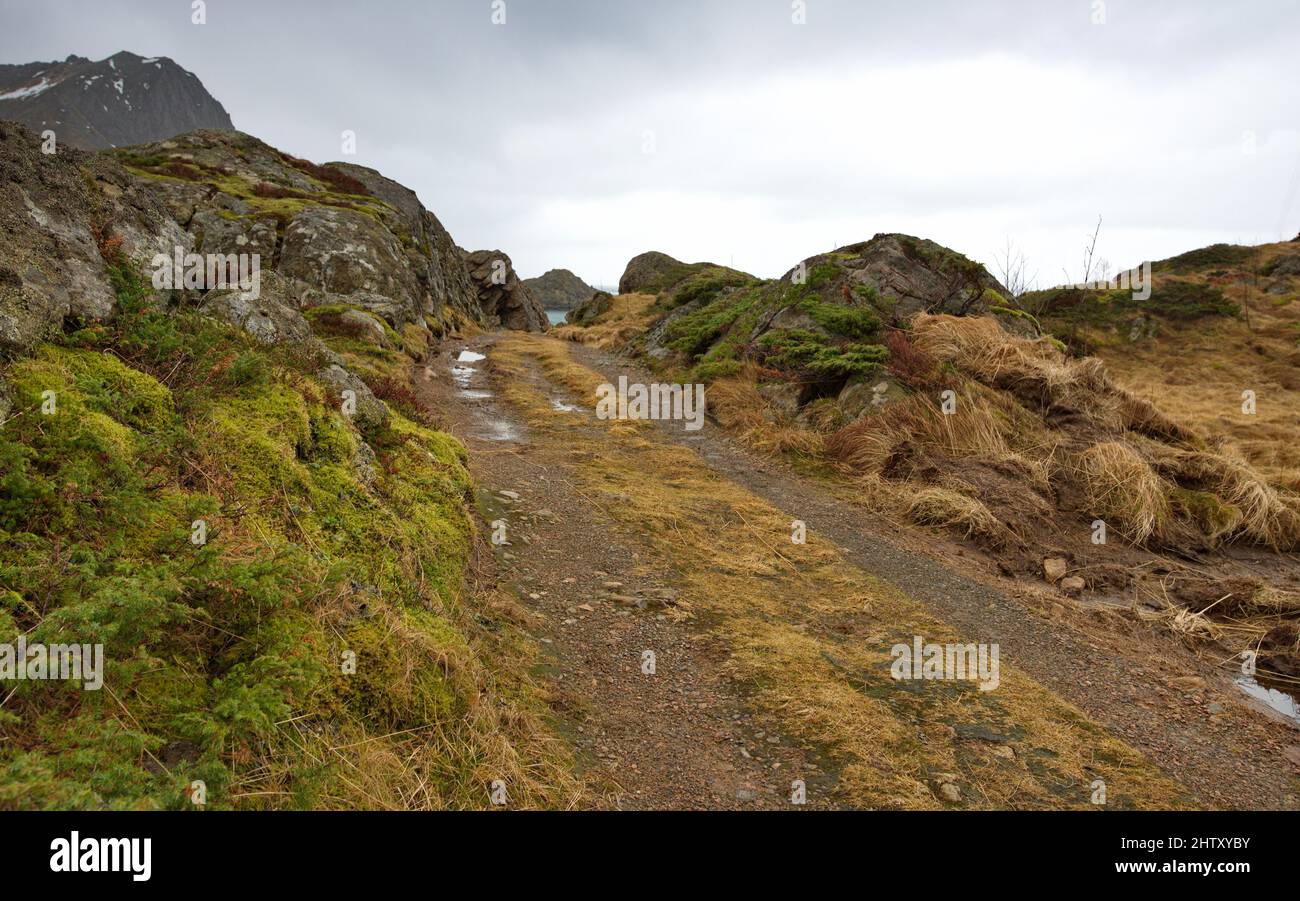 Hiking trail at Straumfjorden, northwest of Straume, Vesteralen ...