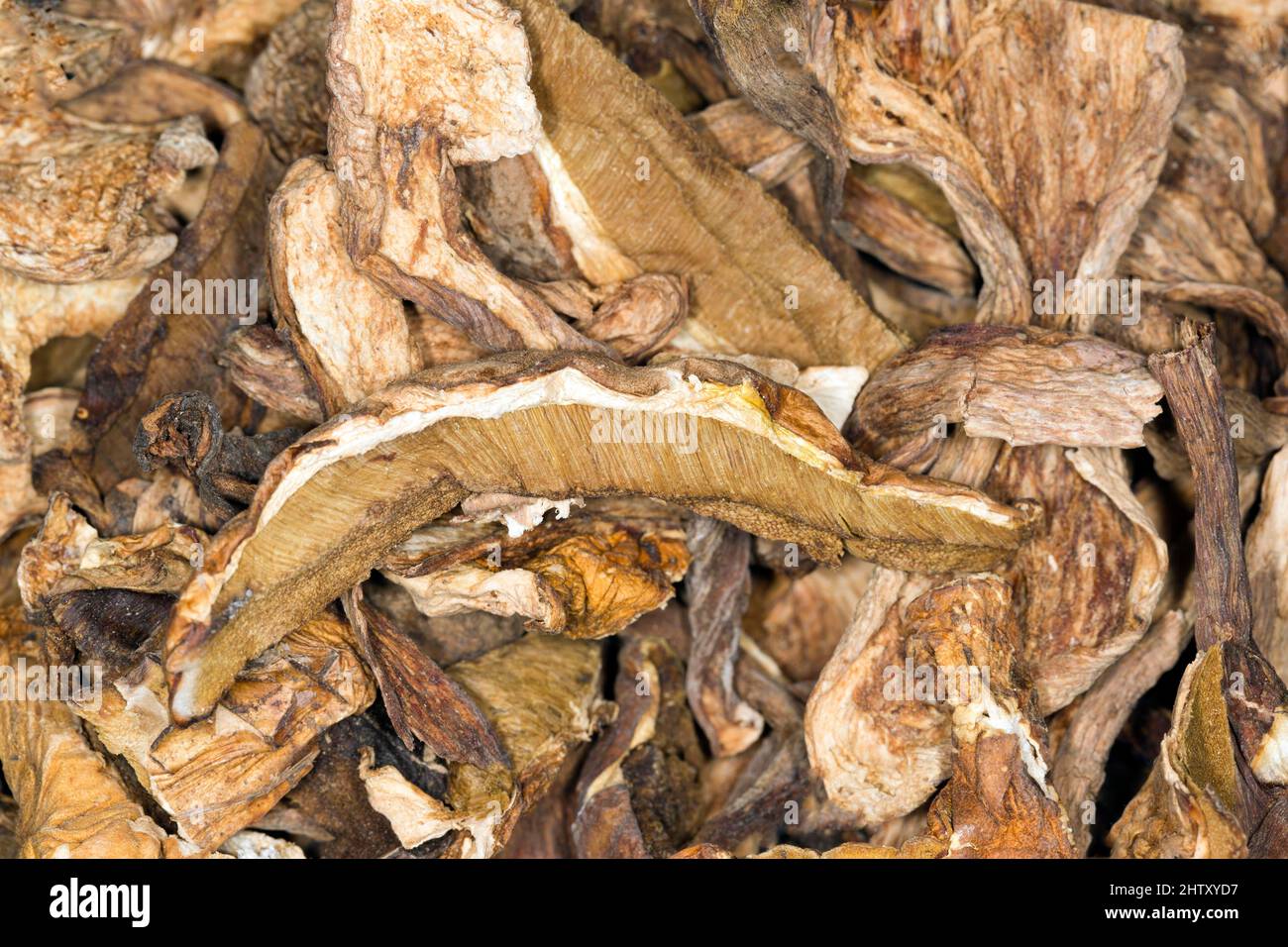 Dried king boletes (Boletus edulis Stock Photo Alamy