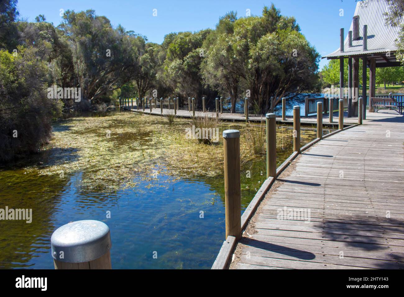 Scenic view of the boardwalk at Dalyellup, Western Australia on a cloudy late spring afternoon surrounded by water birds and paperbark melaleuca trees. Stock Photo