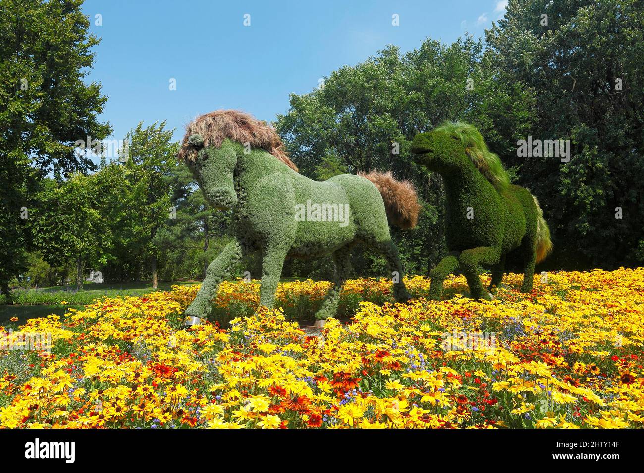 Horse figure, plant sculpture, Botanical Garden, Montreal, Province of Quebec, Canada Stock