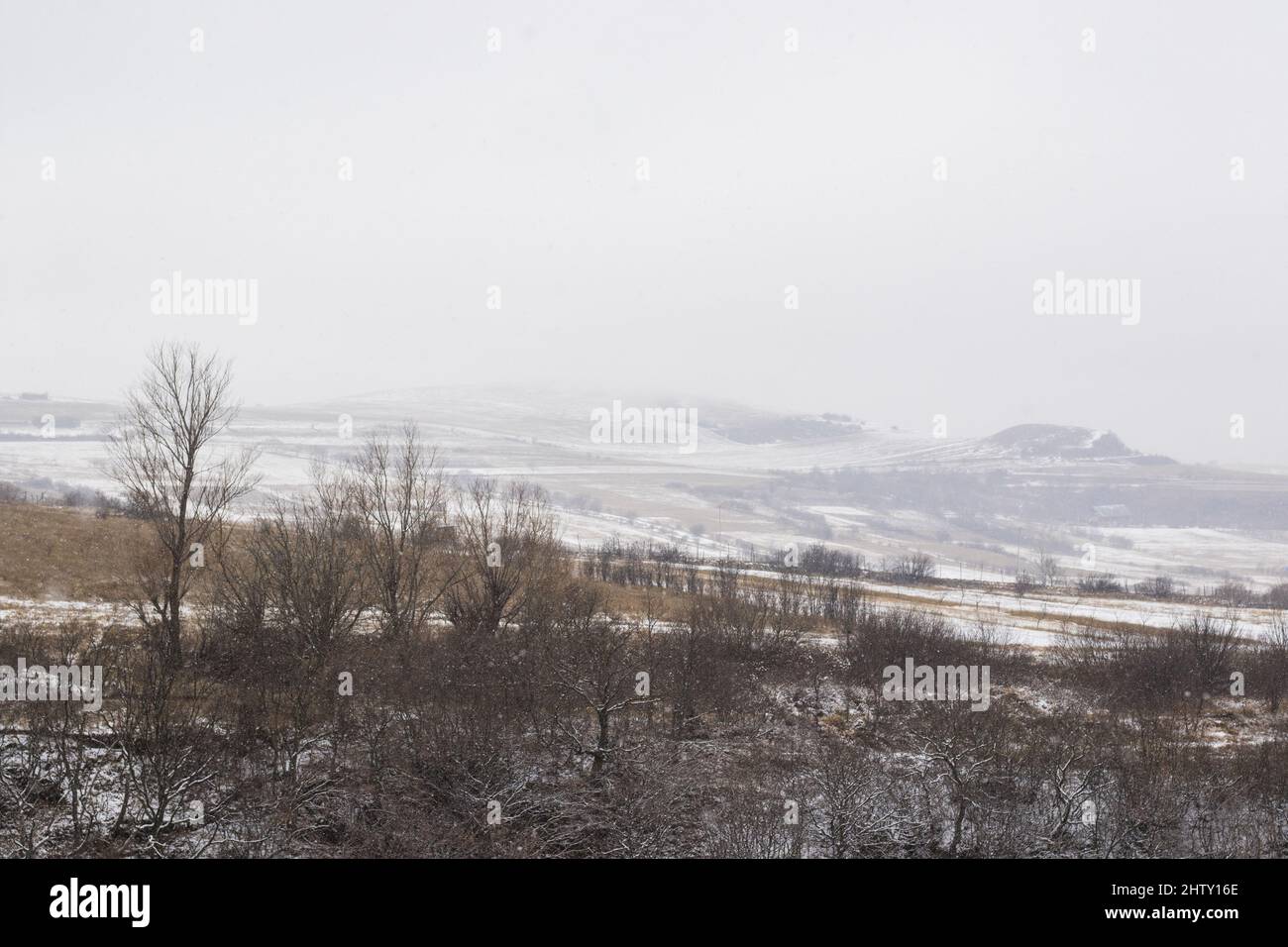 Chilling view of a winter landscape in Georgia during a foggy morning ...