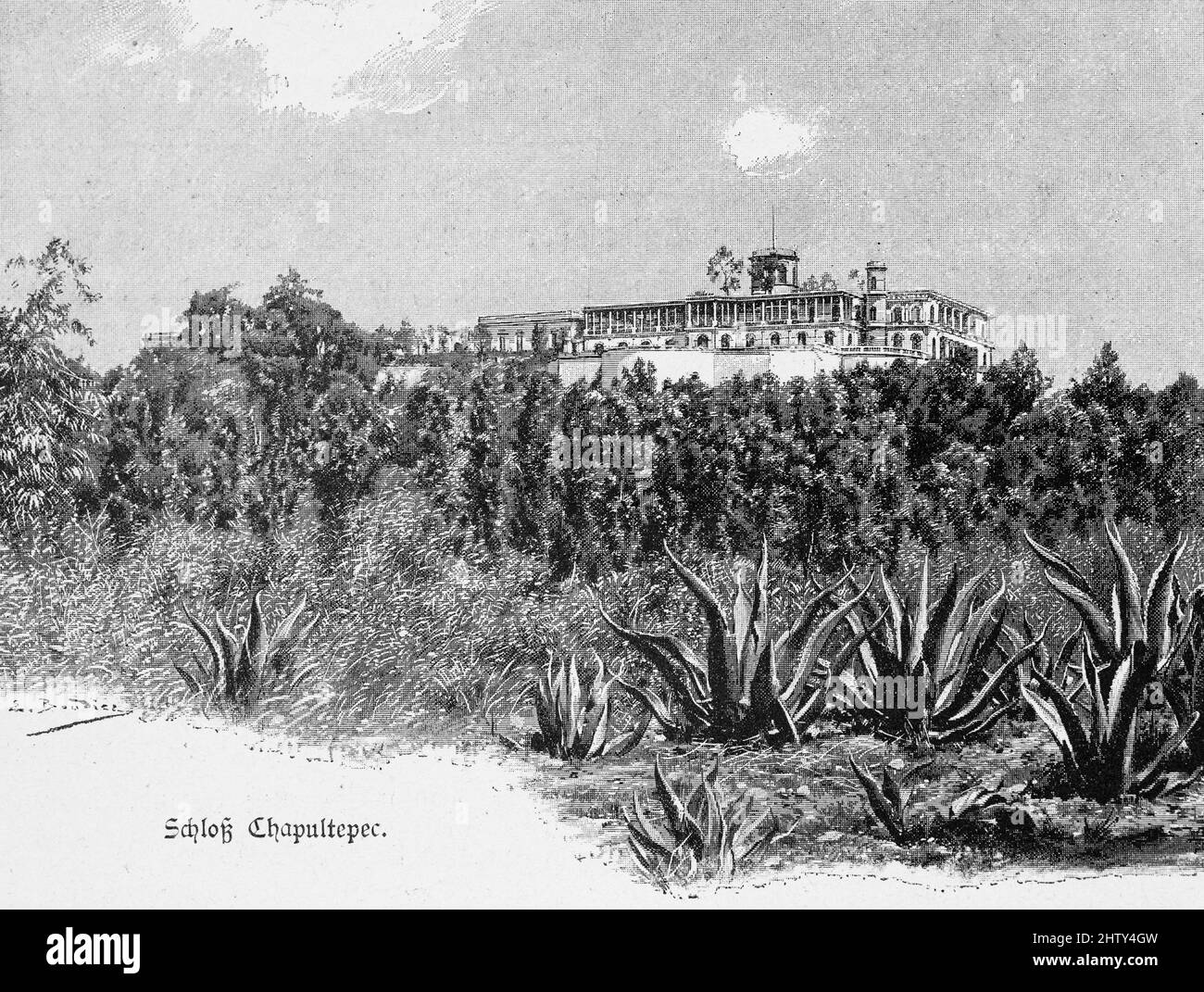 Chapultepec Castle, columns, tower, park, algave, trees, historical illustration from 1897, Mexico City, Mexico, Central America Stock Photo