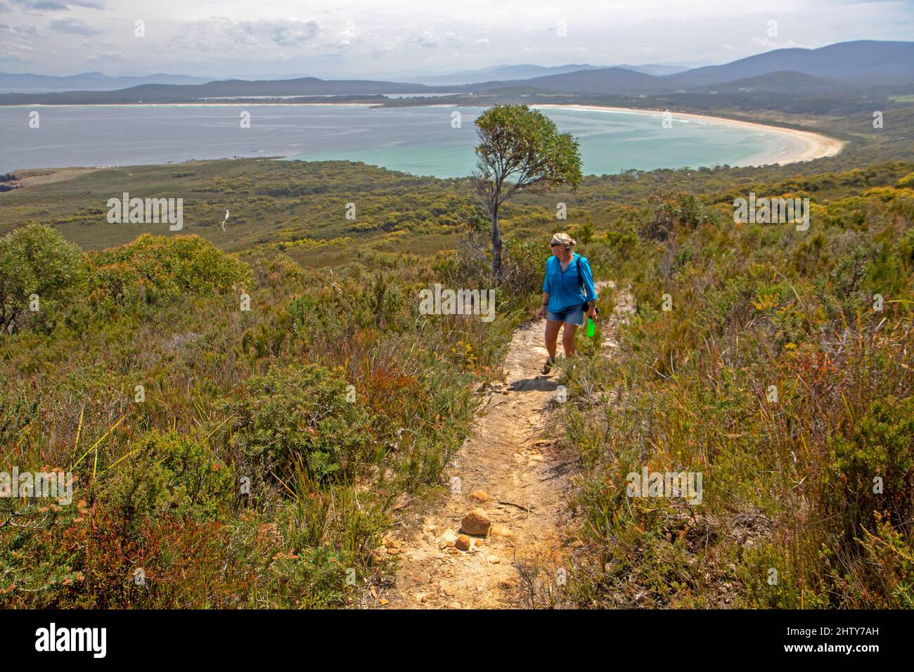 View to Cloudy Bay from the East Cloudy Head trail Stock Photo