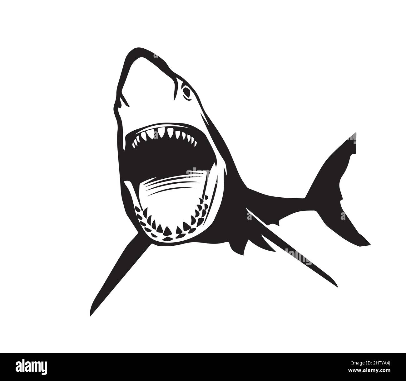 Tiger Shark Teeth Stock Vector Images - Alamy