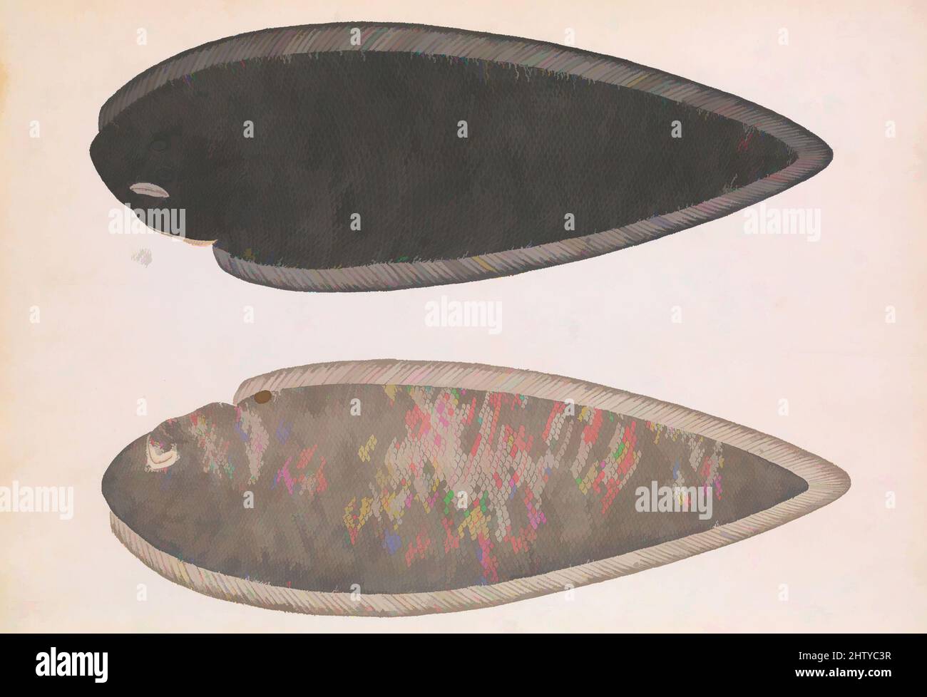 Art inspired by Two Sides of a Bengal River Fish, ca. 1804, Made in India, Calcutta, Pencil, opaque watercolor, and gold on paper, Painting: H. 15 1/16 (38.3 cm), Codices, This painting most likely illustrates a Bengal tongue sole fish (Cynoglossus cynoglossus), so-called for its, Classic works modernized by Artotop with a splash of modernity. Shapes, color and value, eye-catching visual impact on art. Emotions through freedom of artworks in a contemporary way. A timeless message pursuing a wildly creative new direction. Artists turning to the digital medium and creating the Artotop NFT Stock Photo