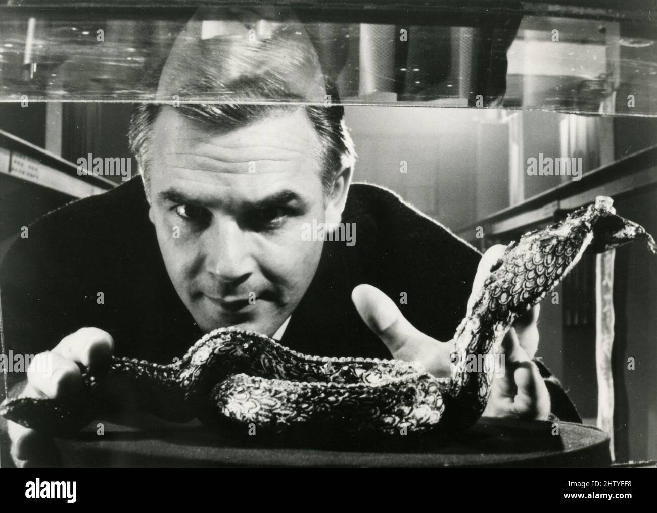 German actor Joachim Fuchsberger in the movie The Curse of the Yellow Snake, Germany 1963 Stock Photo