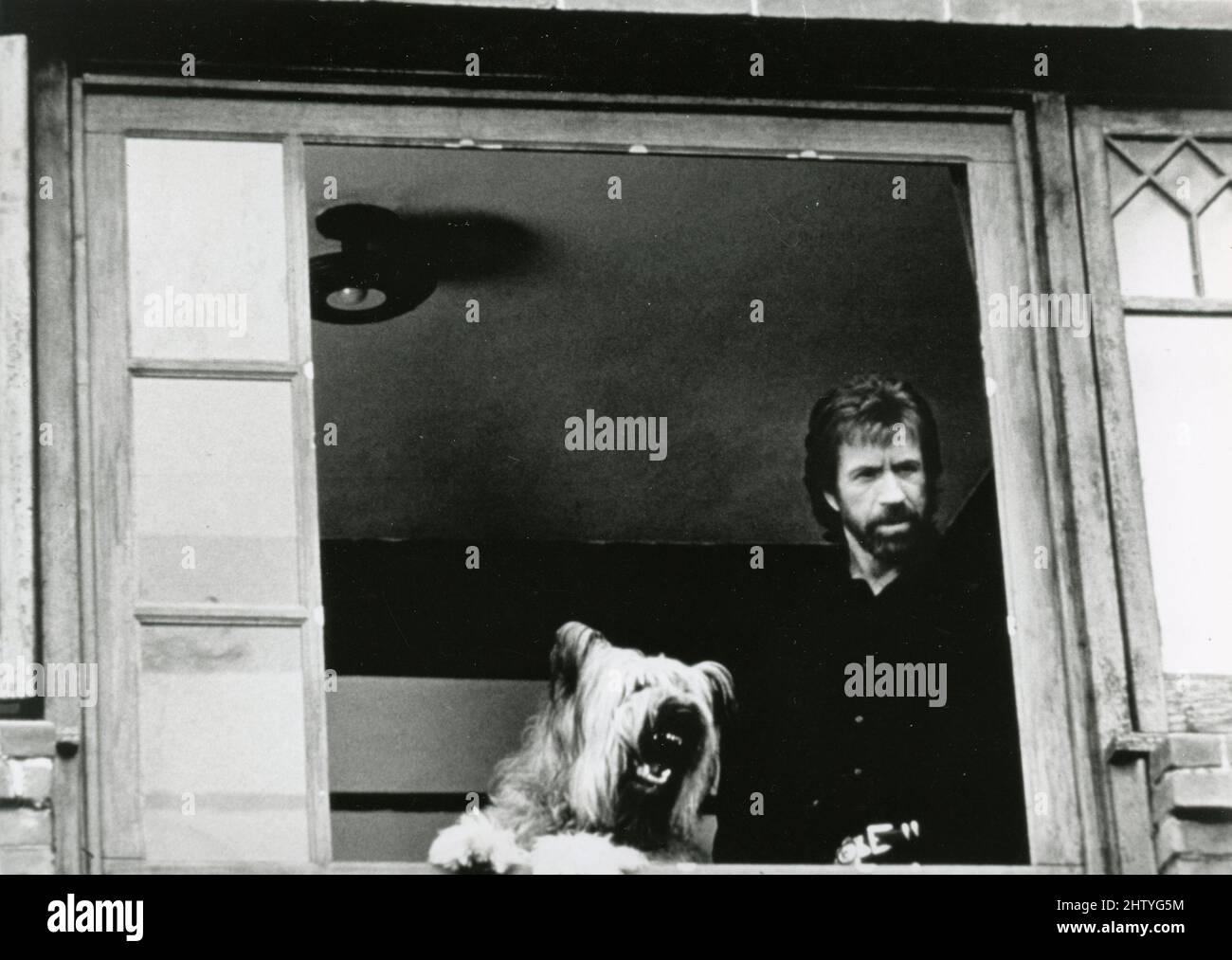 Top dog 1995 hires stock photography and images Alamy