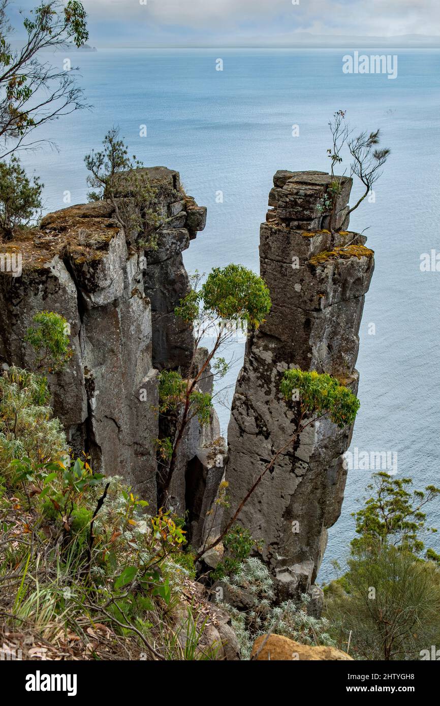 Rock Pillar at Fluted Cape, Bruny Island, Tasmania, Australia Stock