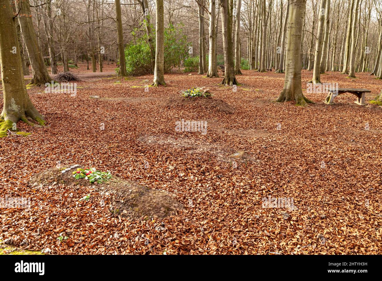 Binning Memorial Wood a natural burial site in East Lothian, Scotland