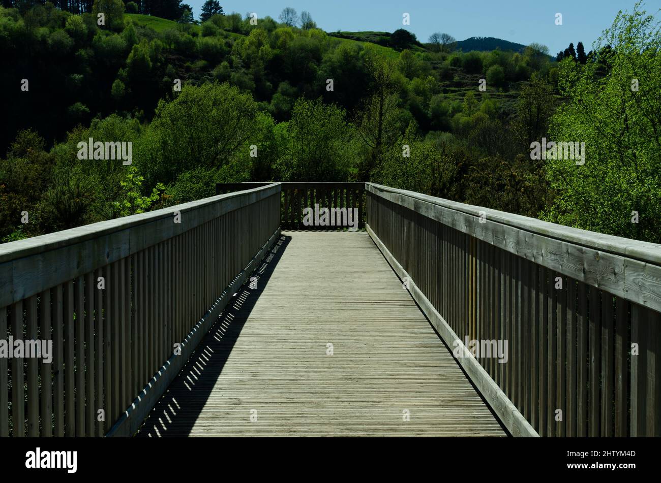 Wooden footbridge pond on hi-res stock photography and images - Alamy