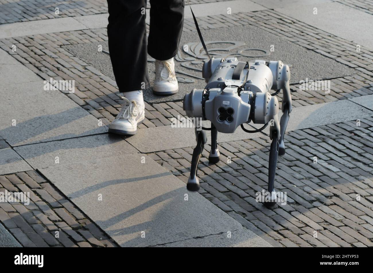 China. 3rd Mar, 2022. On February 28, 2022, a woman walks a robot dog in  the scenic spot of West Lake Park in Hangzhou. It is said that the robot dog  is