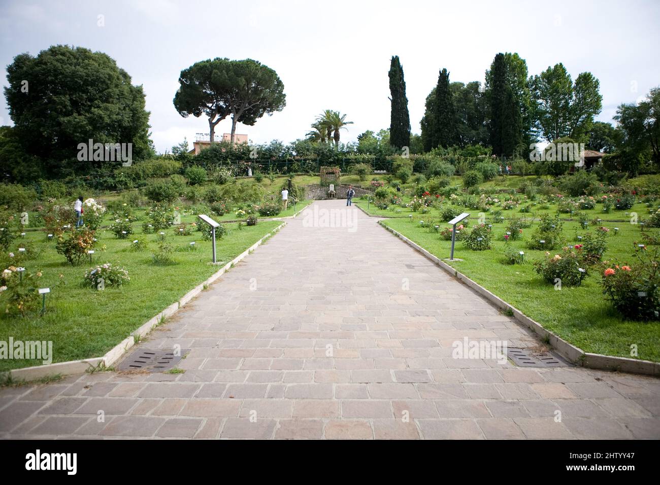Rose garden, Rome, Lazio, Italy Stock Photo - Alamy