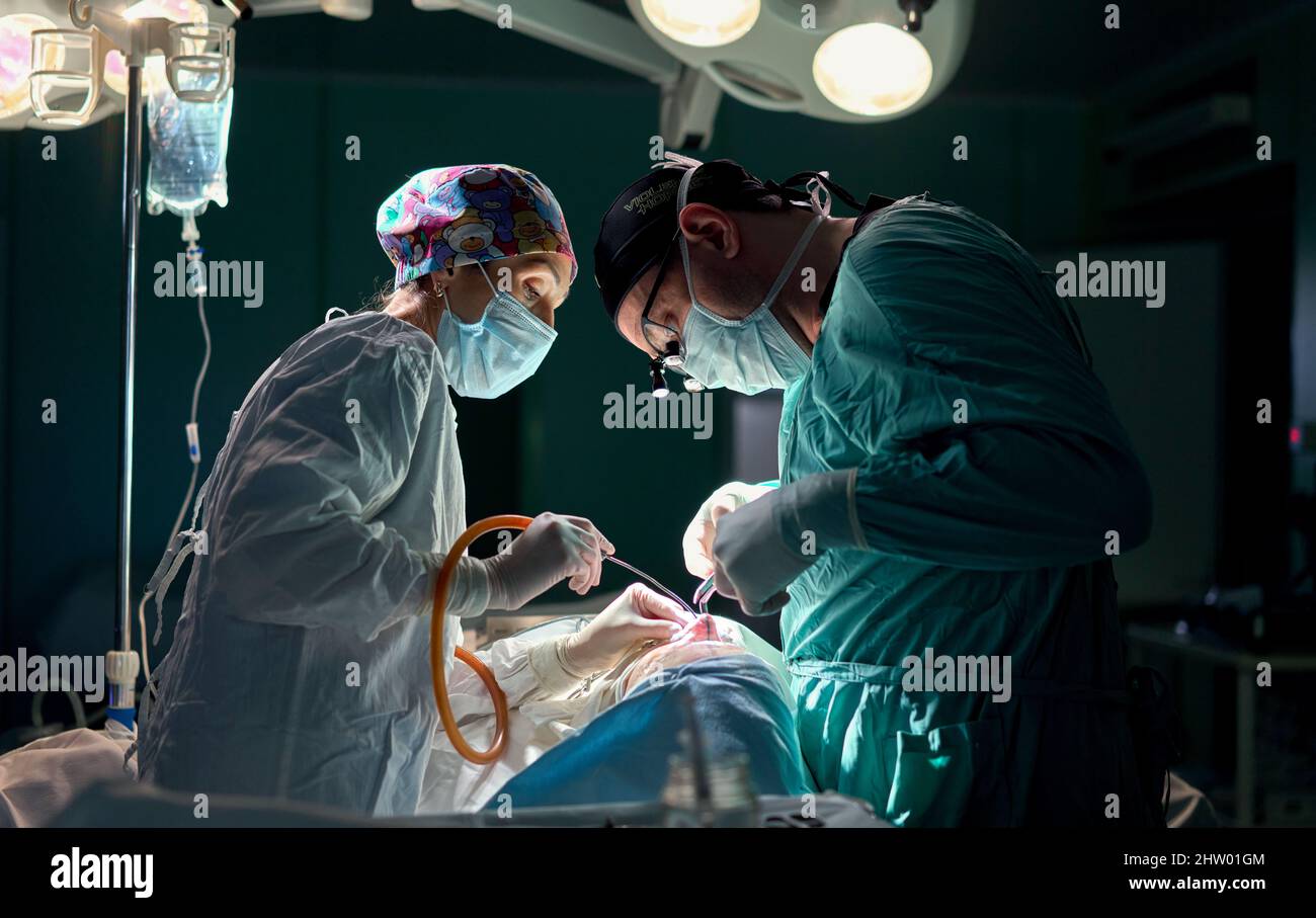 In the hospital operating room. An international team of professional ...