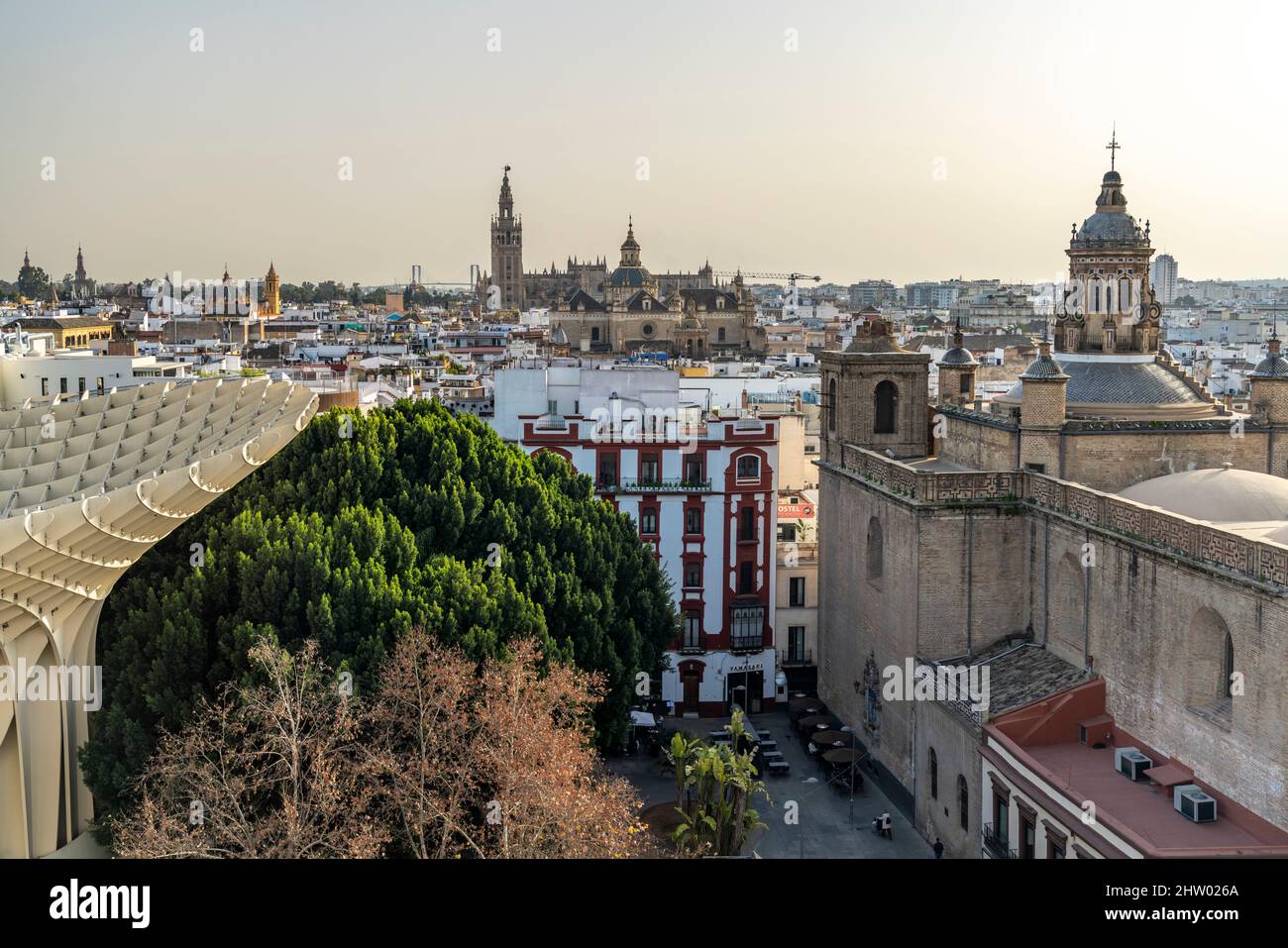Blick vom Metropol Parasol auf die Kathedrale und die Kirche Iglesia de la Anunciación, Sevilla, Andalusien, Spanien  |  Metropol Parasol view to the Stock Photo