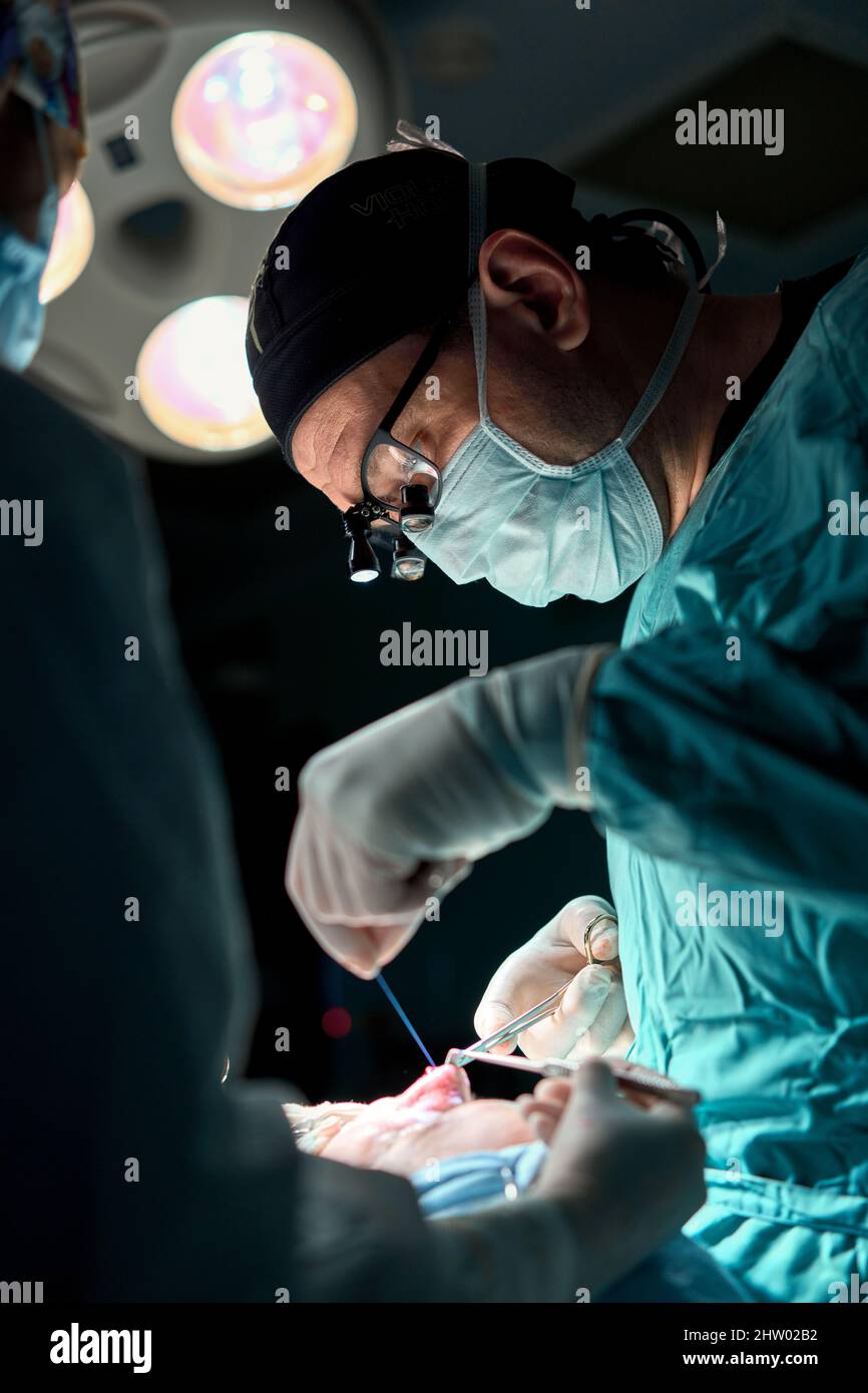 Operating Assistant Hospital In the hospital operating room. An international team of professional ...