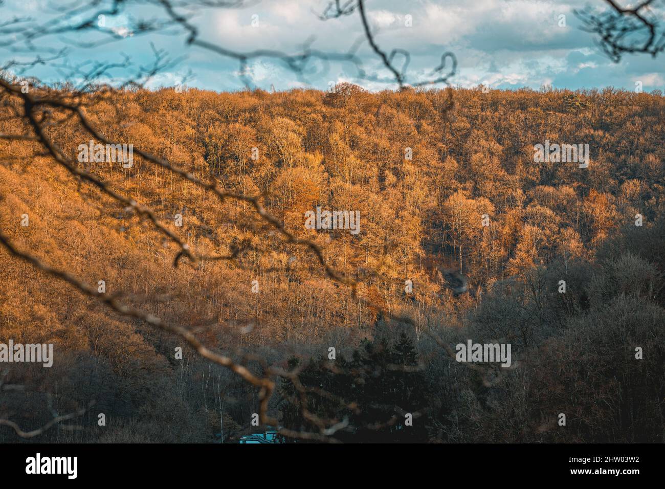 Beautiful view of fall forest in Ardennen, Belgium Stock Photo