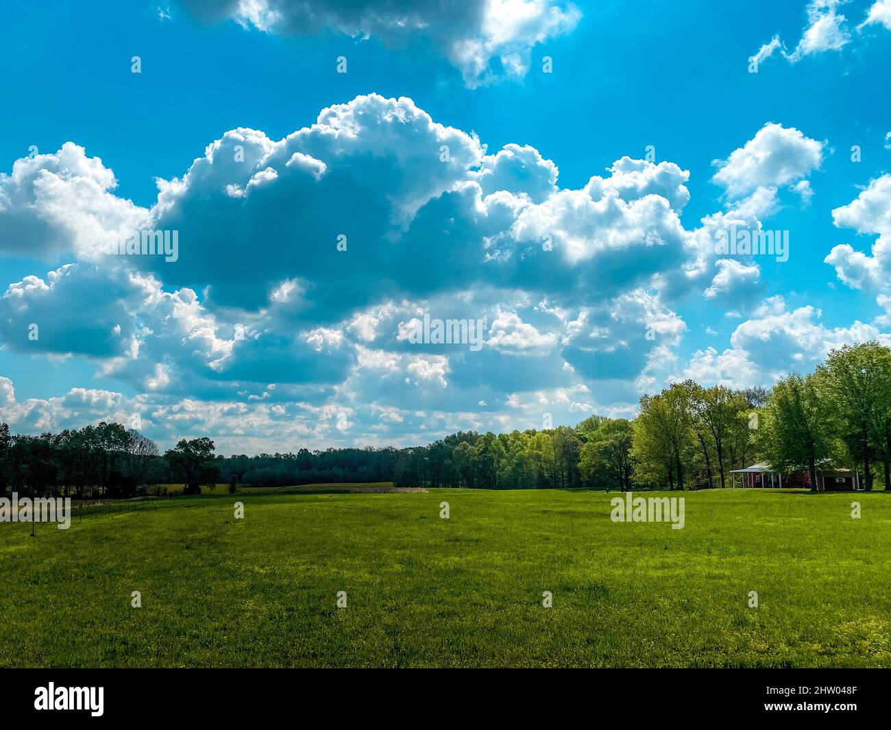 Natural landscape of a vast green field under the fluffy clouds Stock ...