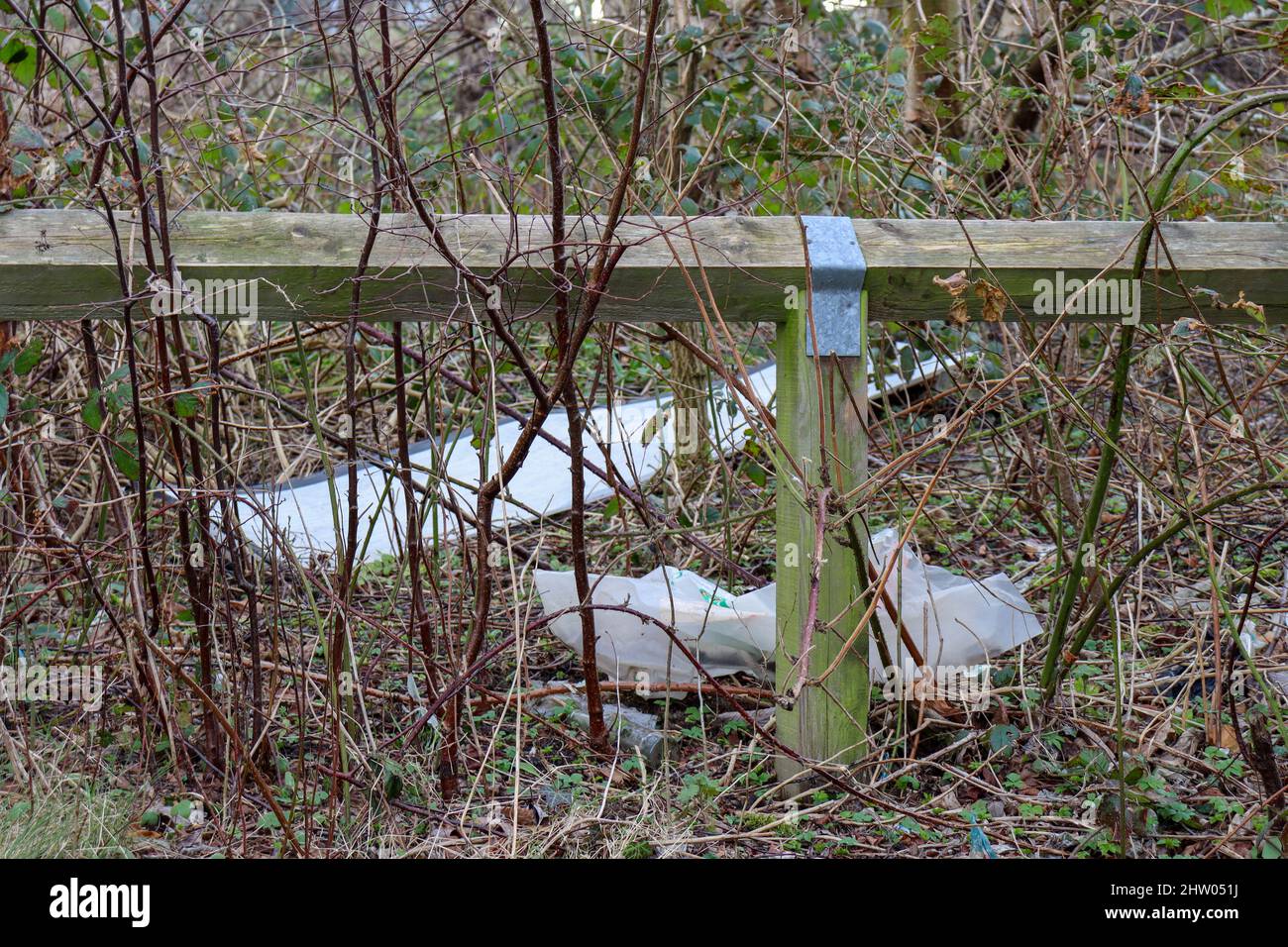 Rubbish and plastic dumped in woodland, littering and pollution, fly-tipping Stock Photo