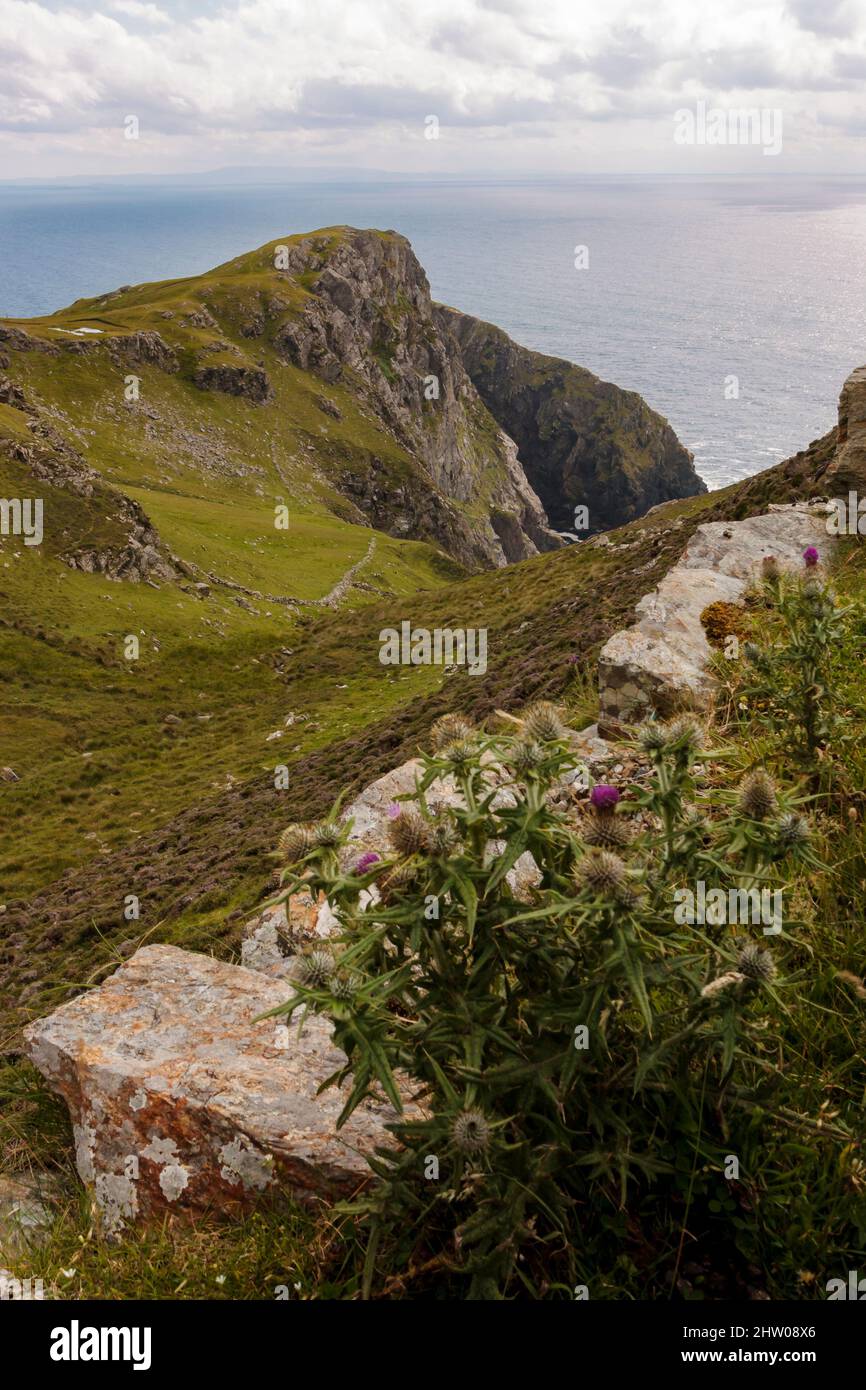 Wild atlantic way in county donegal hi-res stock photography and images ...