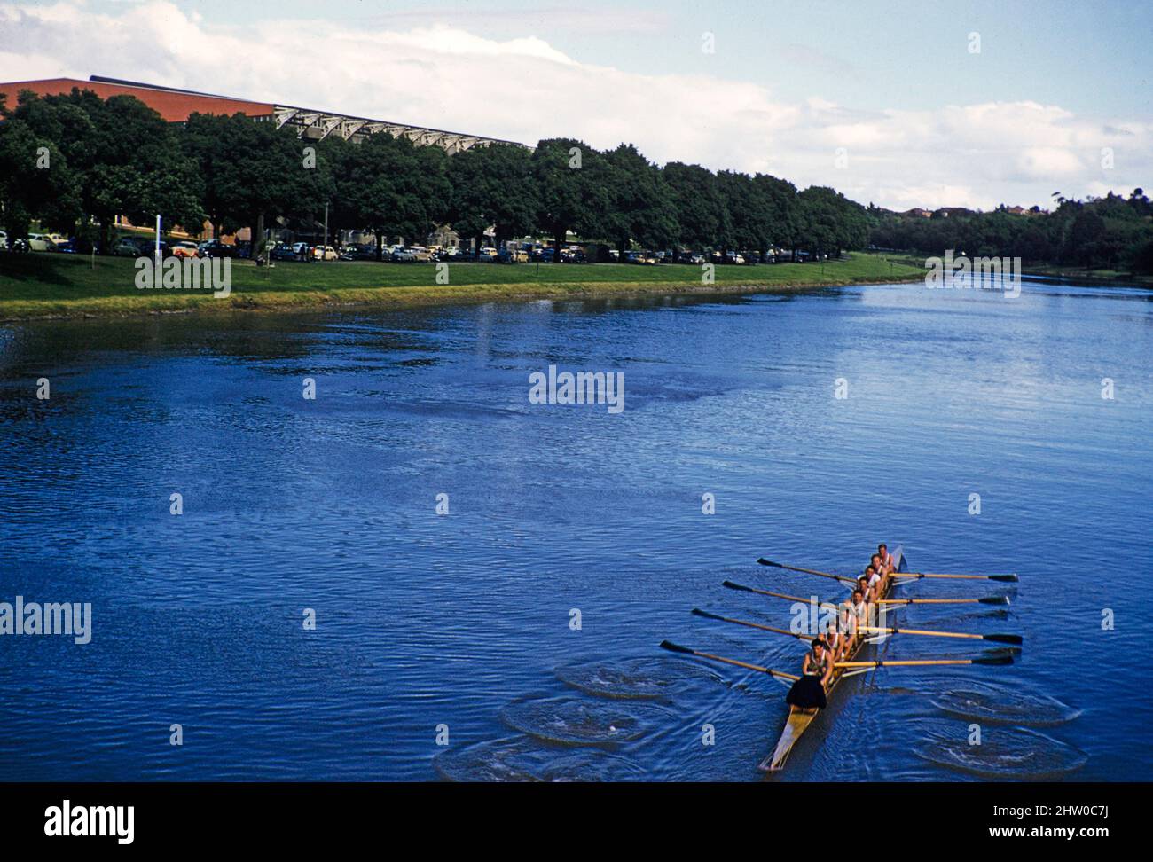 Men's coxed eight rowers on Yarra River, possibly linked to Henley on Yarra regatta, Melbourne, Victoria, Australia, 1956 Stock Photo