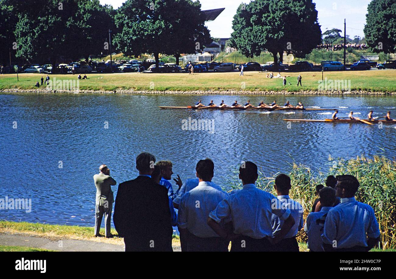 Schools rowing event on the Yarra River, Melbourne, Victoria, Australia, 1956 Boys' coxed eight rowers Stock Photo