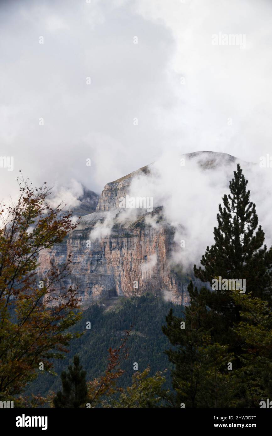 Vertical cut rocky mountain slopes under the misty clouds seen through the pine trees Stock Photo