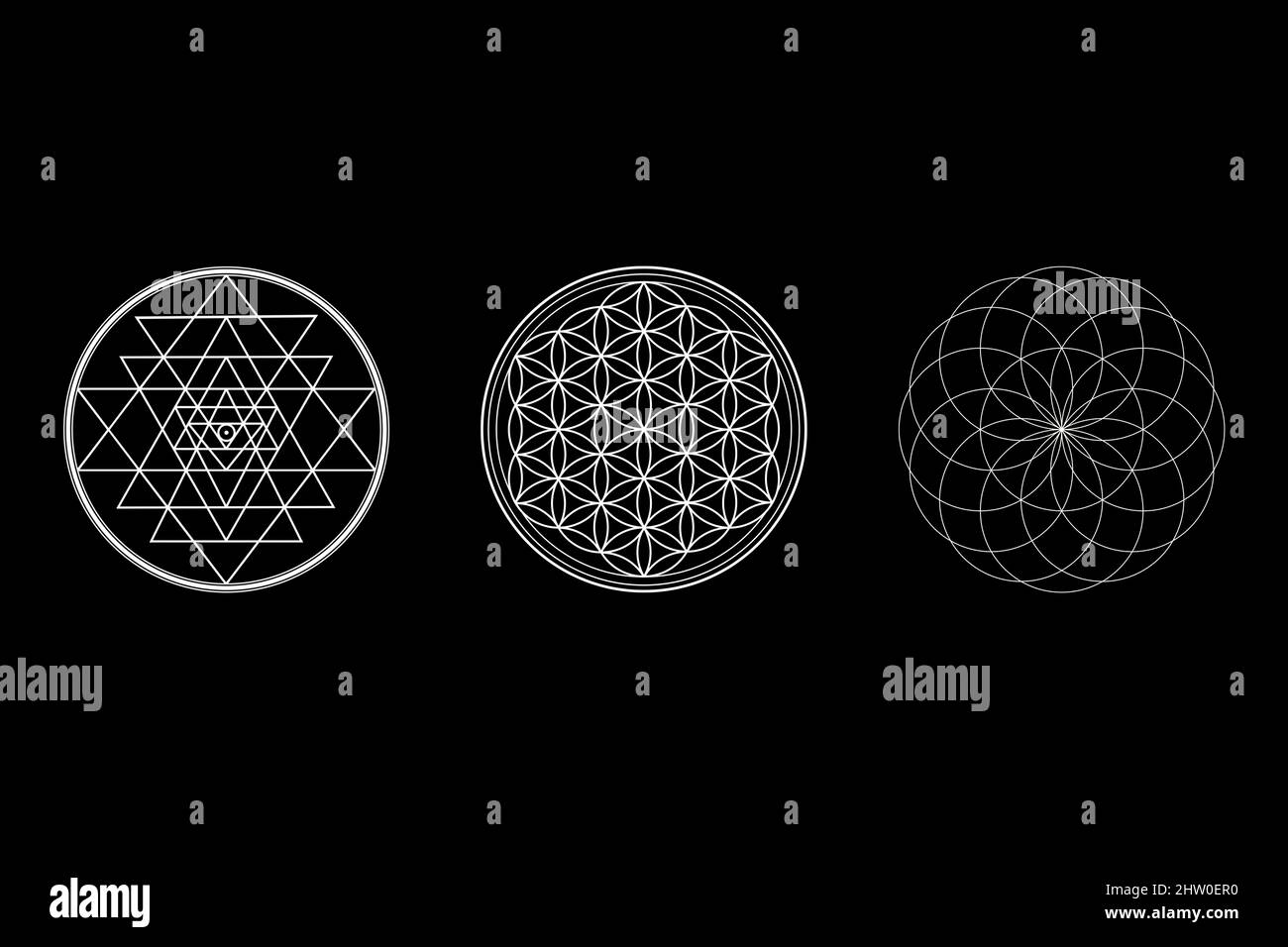 Flower Of Life Background, Sri Yantra Wallpaper, Torus Symbol, Sacred Geometry Isolated On Black Background, Ancient Signs, Abstract Illustration HD Stock Photo