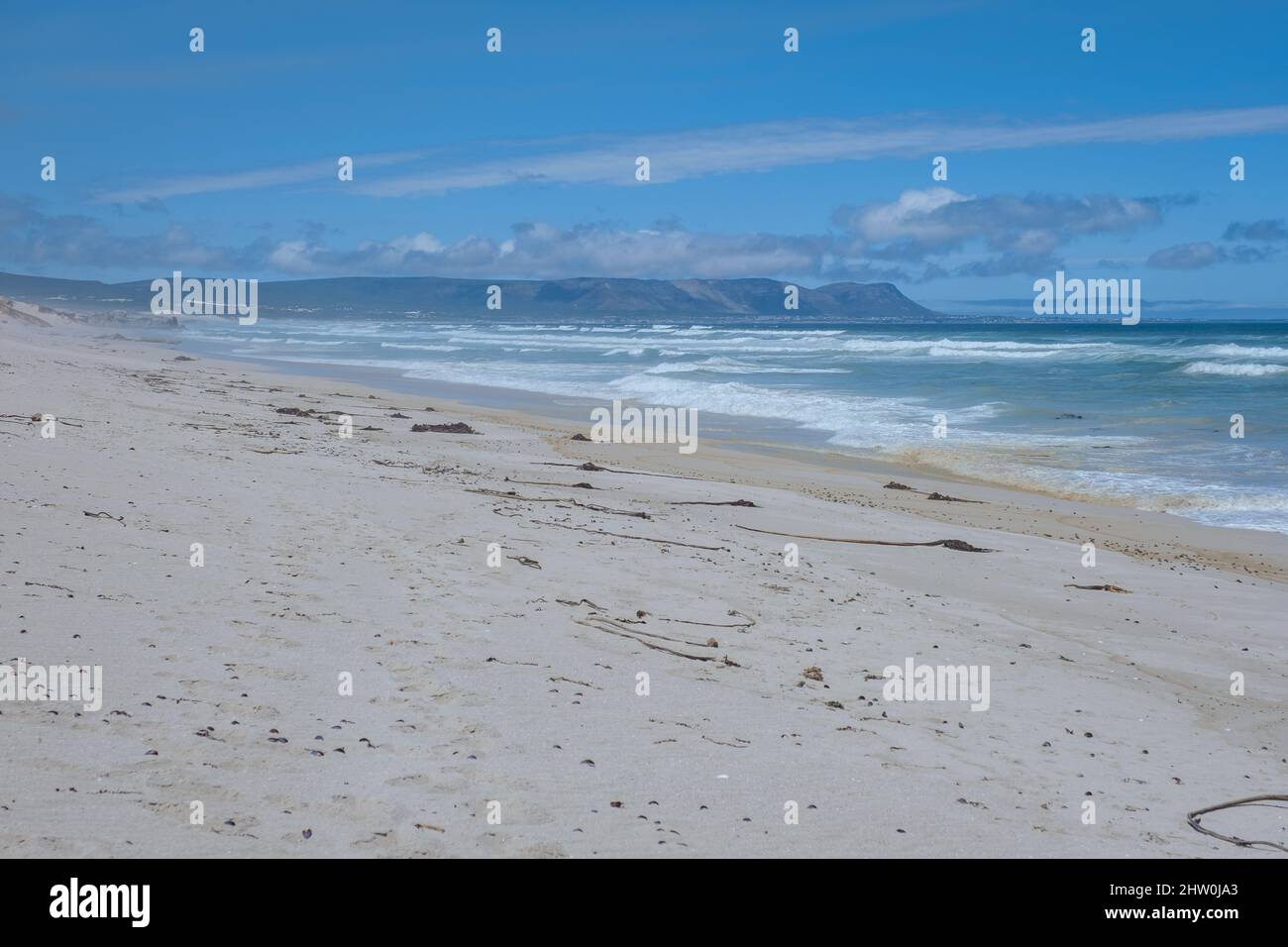 Cape Nature Walker Bay beach near Hermanus Western Cape South Africa. white beach and blue sky with clouds, sand dunes at the beach in South Africa Stock Photo