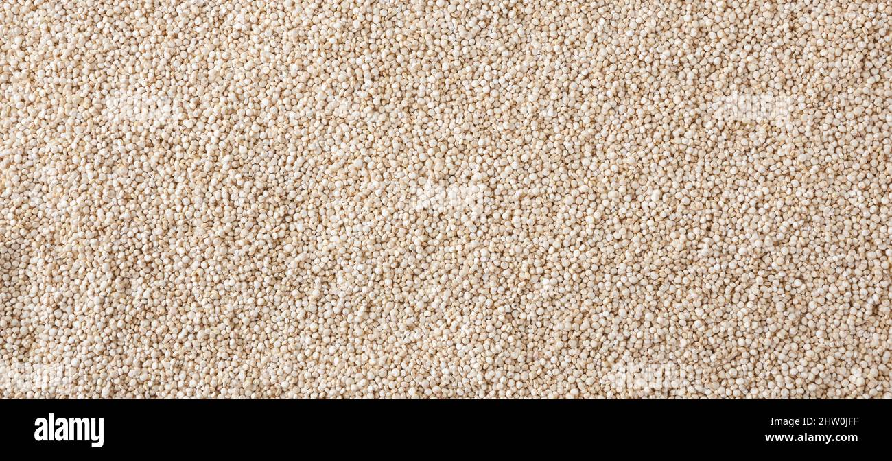 Dried white quinoa seeds background Stock Photo