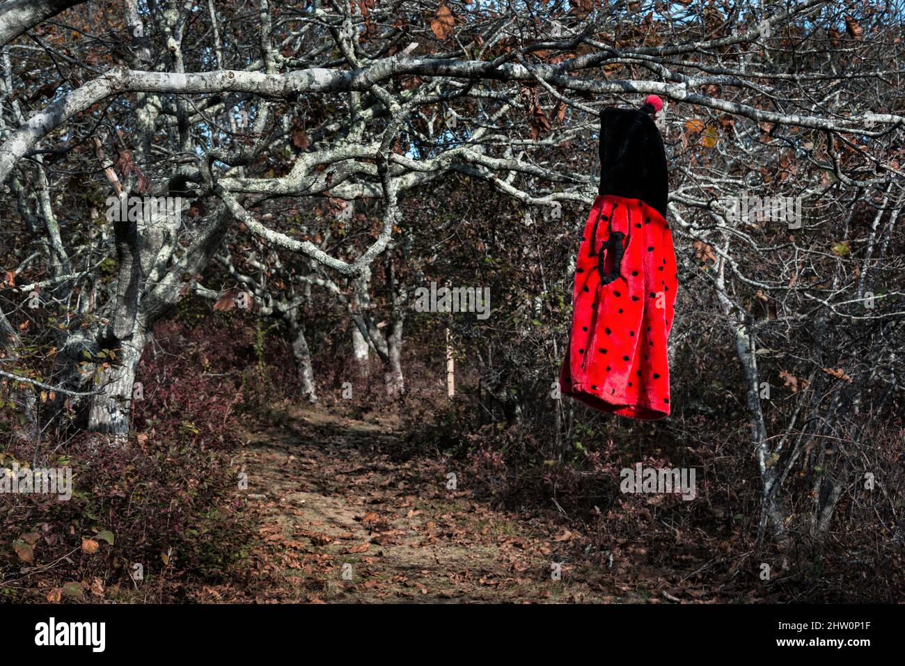 Girls coat hangs from a tree along a remote path. Stock Photo