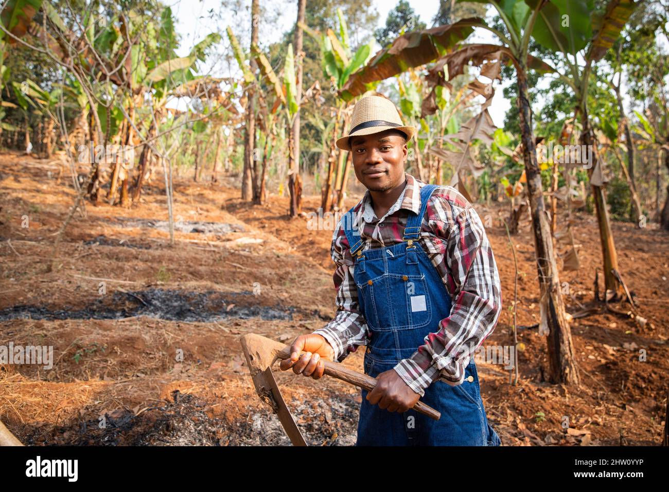 African farmer works the field with the hoe, cultivator at work on his plantation Stock Photo