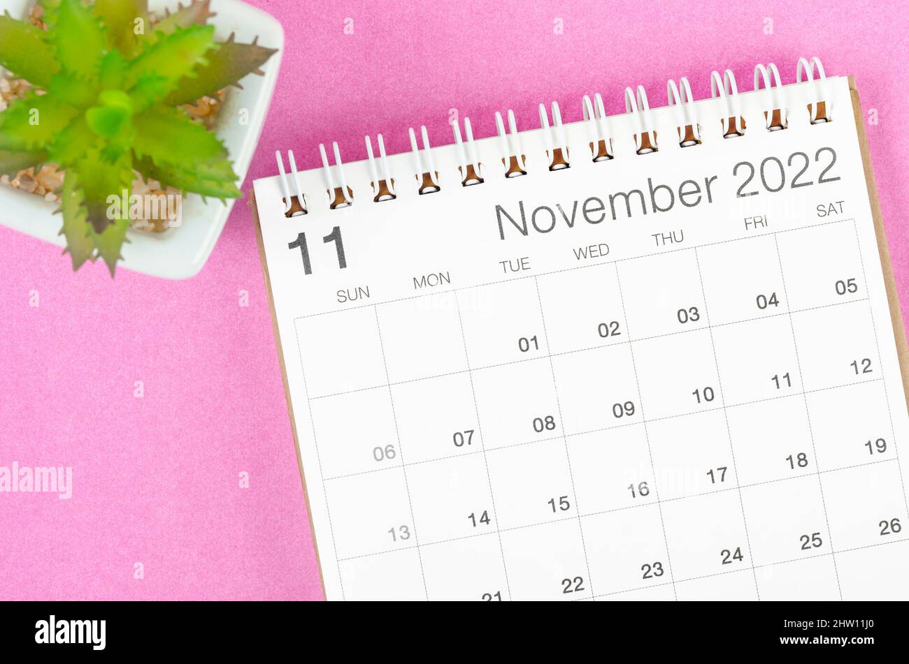 The November 2022 Desk Calendar With Plant Pot On Pink Background Stock Photo - Alamy