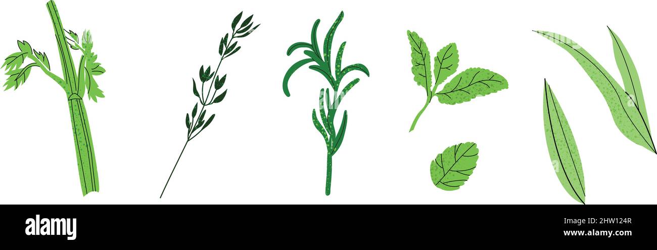 Set of greenery illustrations Stock Vector