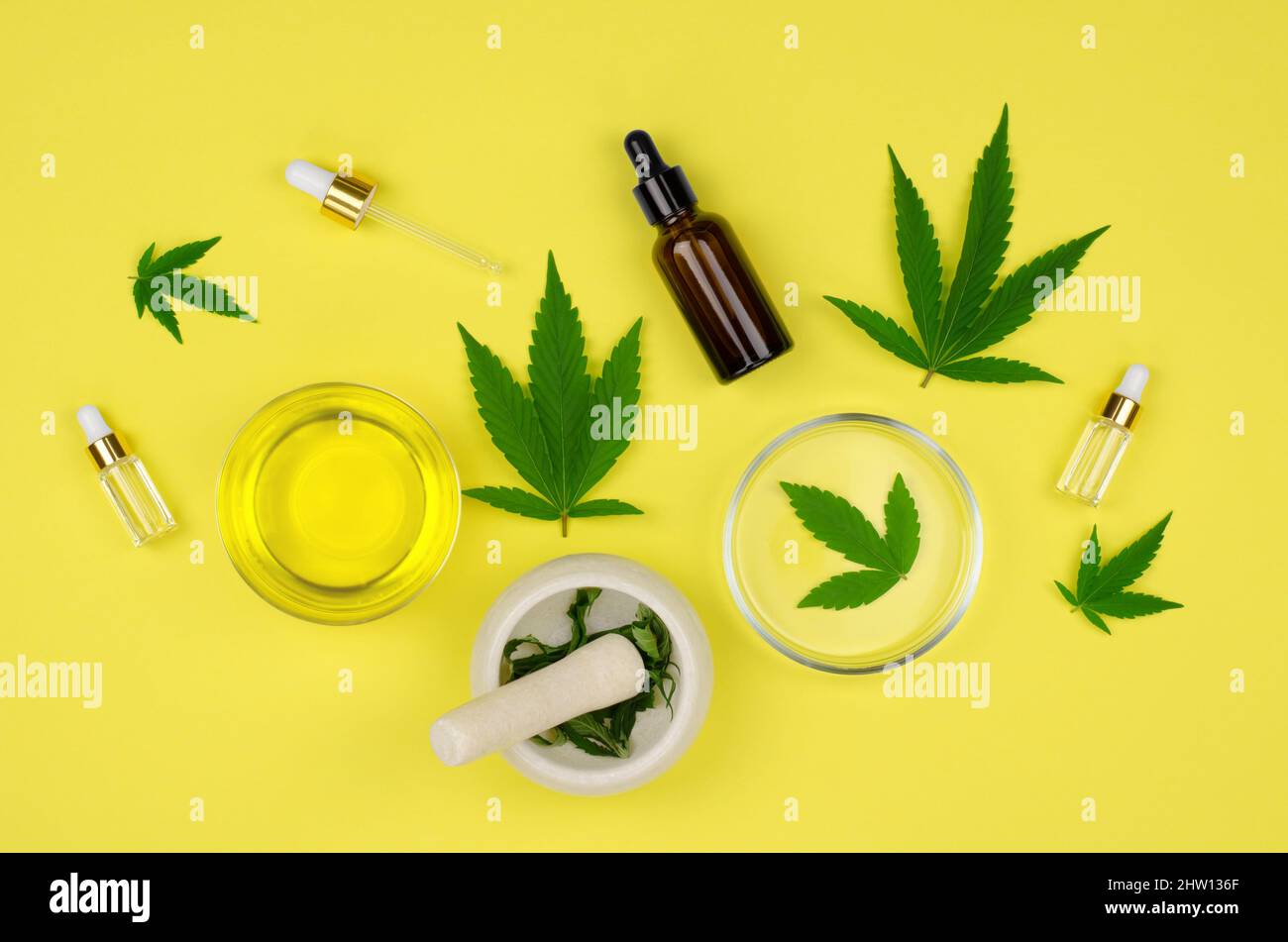 Natural hemp oils. Bottles of oil, hemp leaves, a bowl of oil and a