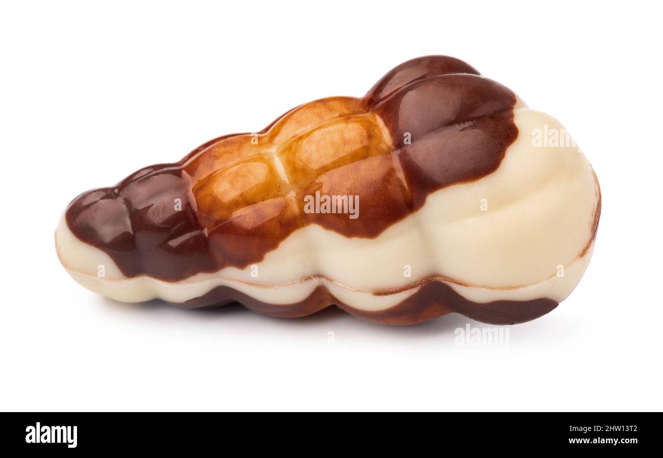 Chocolate sweets shaped as seashells isolated on white background Stock Photo
