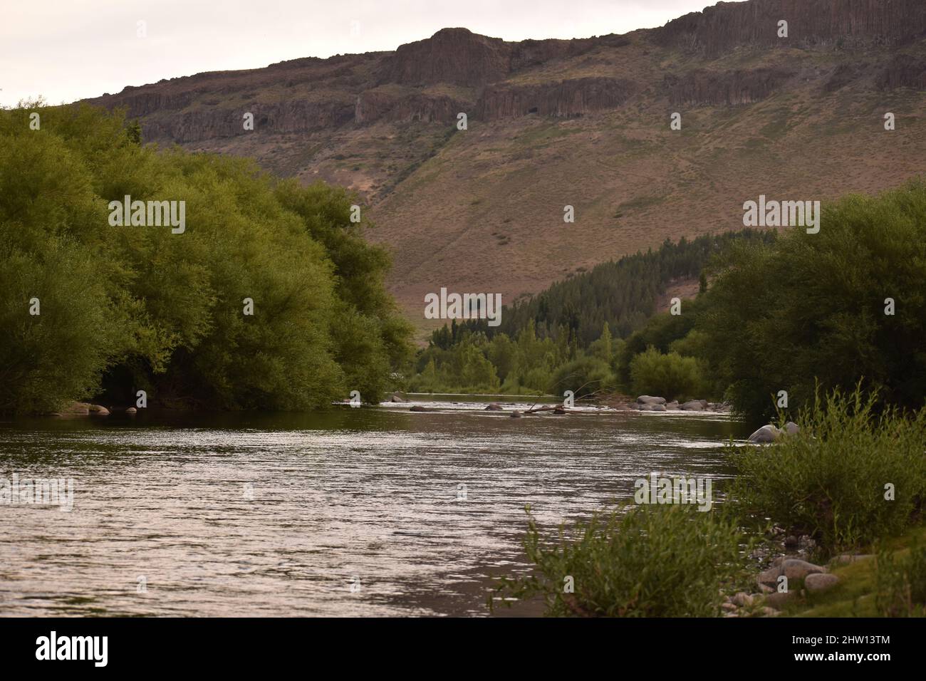 Mesmerizing view of a calm lake surrounded by trees Stock Photo - Alamy
